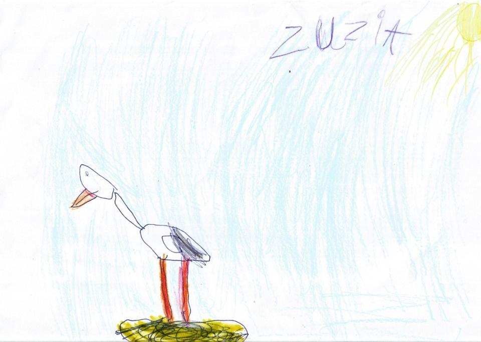 Wiosenny ptak - bocian