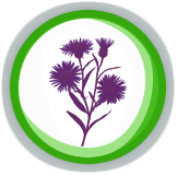 Kwiatowa przygoda